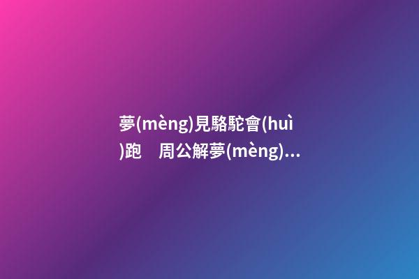 夢(mèng)見駱駝會(huì)跑　周公解夢(mèng)之夢(mèng)到駱駝會(huì)跑
